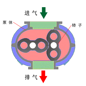 _ĹL(fng)C(j)